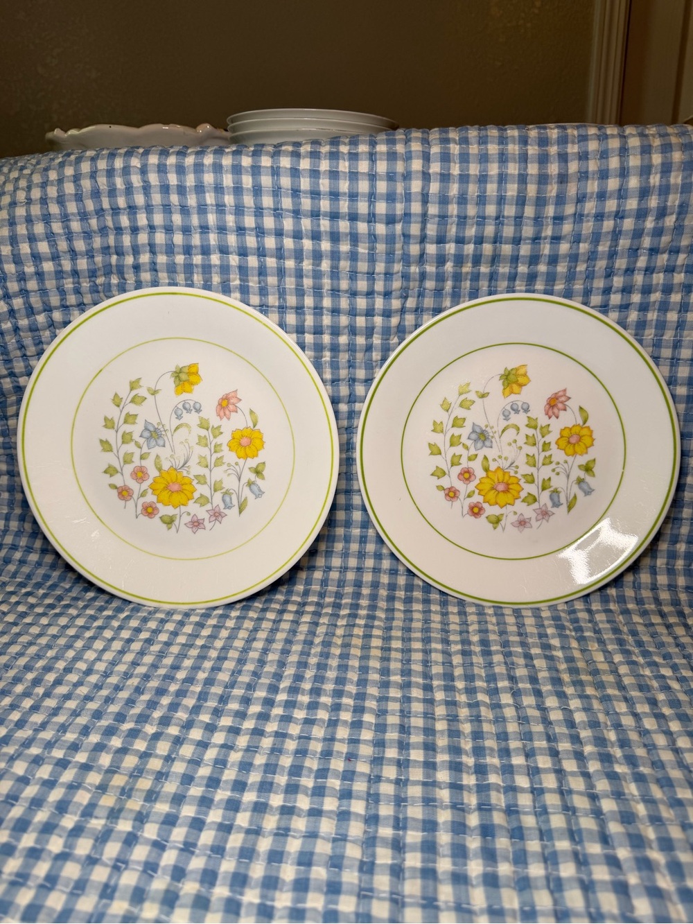 Vintage Corelle Corning Spring Meadow Floral Dinner Plates Set of 2